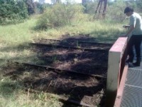 Moosgarten Bestandsaufnahme