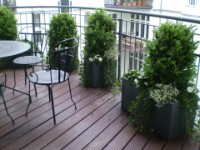 Schattenterrasse  Innenansicht