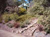 australischer Garten australischer Garten