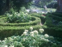 Blick auf den Hortensiengarten