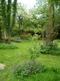 Landhausgarten Mammoißel Landhausgarten Mammoißel