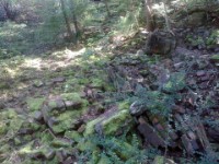 Naturschutz/Landschaftspflege Naturschutz/Landschaftspflege