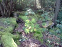 Naturschutz/Landschaftspflege Naturschutz/Landschaftspflege